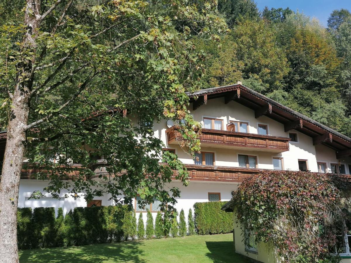 Pension Heilbad Burgwies Stuhlfelden Exteriör bild