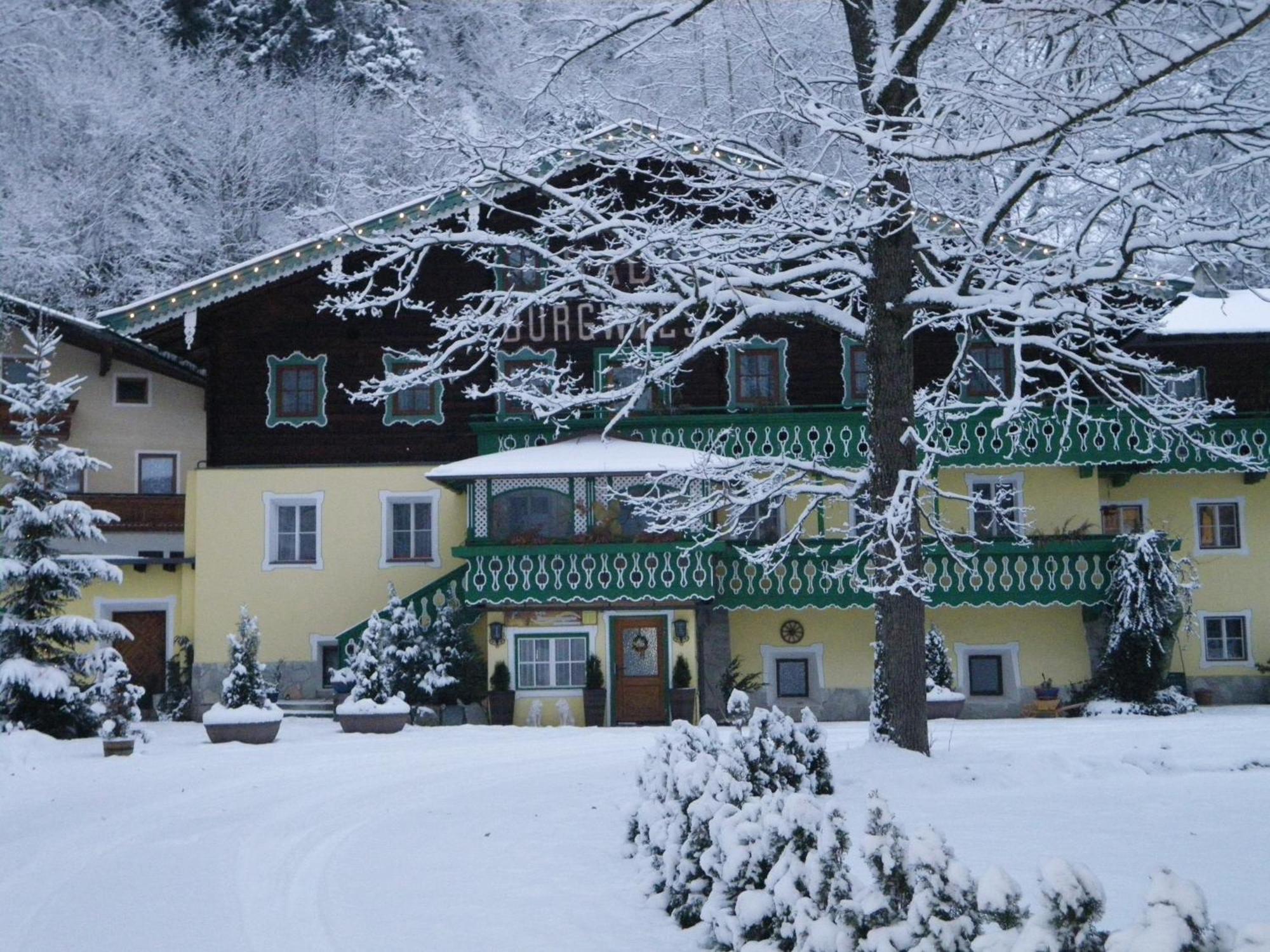 Pension Heilbad Burgwies Stuhlfelden Exteriör bild